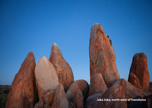Load image into Gallery viewer, Aboriginal Artists of Central Australia - Dots of Life