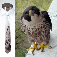 Load image into Gallery viewer, Peregrines Parenting - Necktie