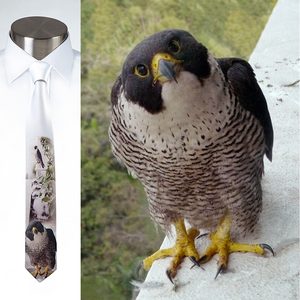 Peregrines Parenting - Necktie