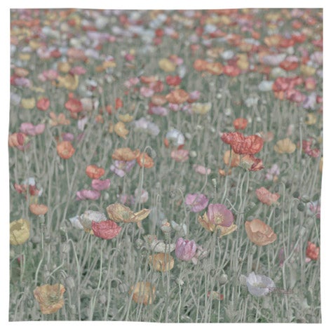 Poppies - Small Scarf / Bandana